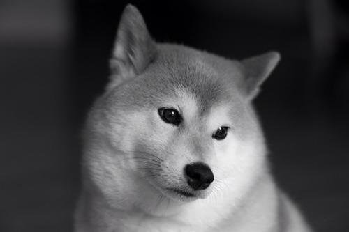 儚い雰囲気の男性芸能人