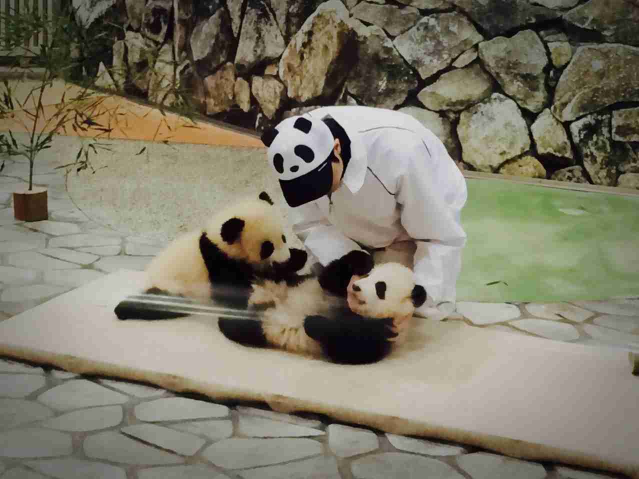 疲れたあなたへ。赤ちゃん動物たちの愛くるしい写真の癒し効果がすごすぎると話題に