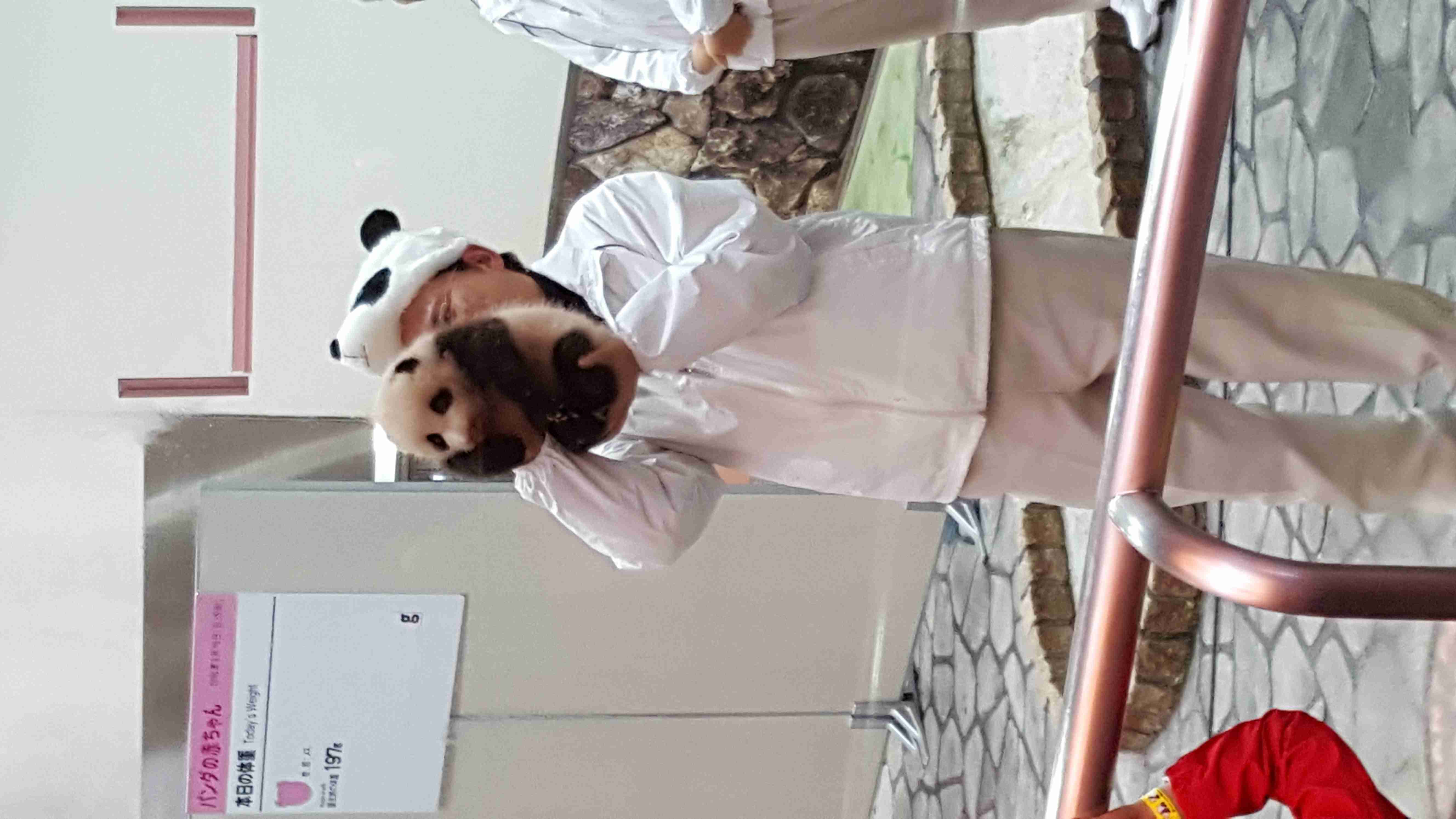 疲れたあなたへ。赤ちゃん動物たちの愛くるしい写真の癒し効果がすごすぎると話題に