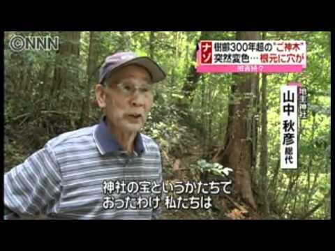 興福寺、防犯カメラに液体かけるしぐさの男…新たに橿原神宮、東大寺でも被害判明