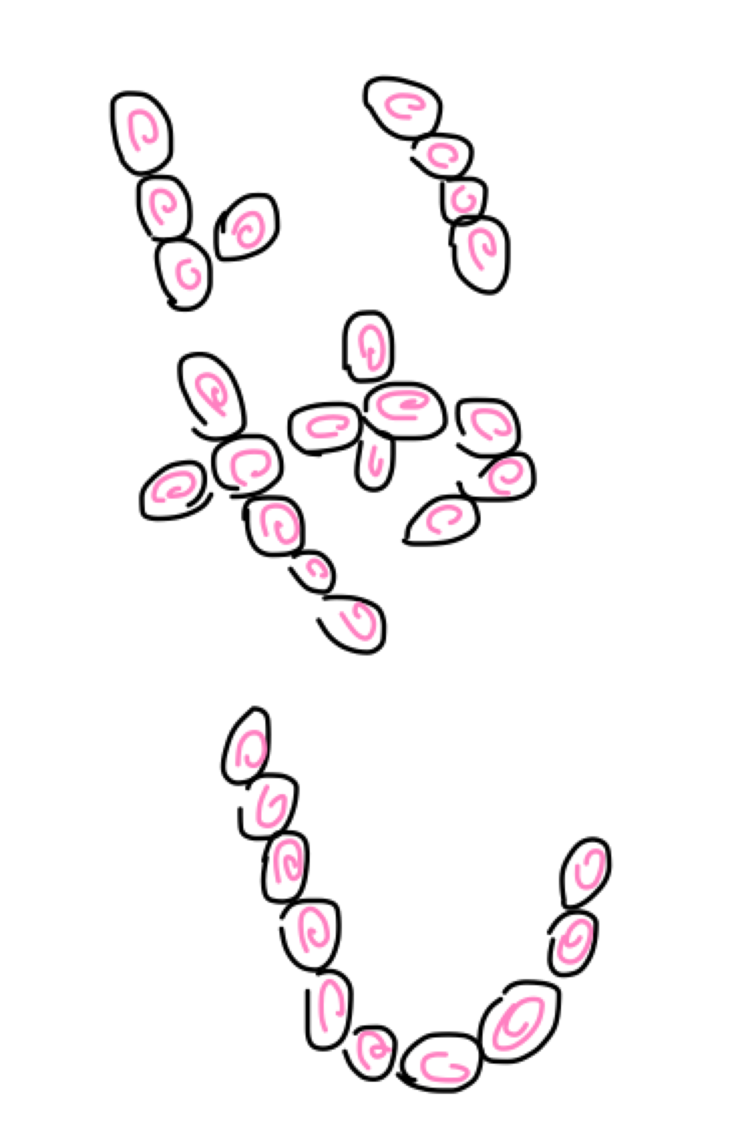 癒し系の絵を描くトピpart2