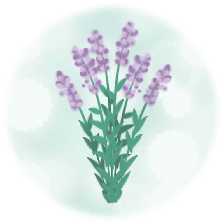 癒し系の絵を描くトピpart2
