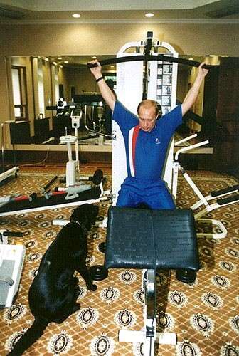 菅官房長官 プーチン大統領訪日で秋田犬贈呈を打診