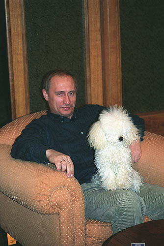 菅官房長官 プーチン大統領訪日で秋田犬贈呈を打診