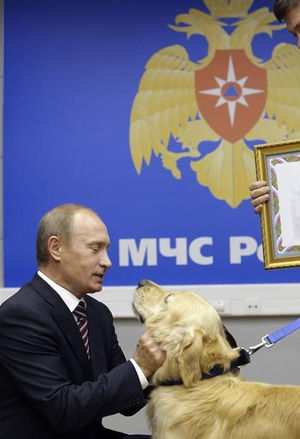菅官房長官 プーチン大統領訪日で秋田犬贈呈を打診