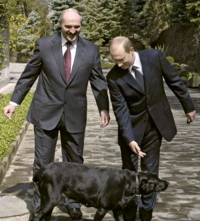 菅官房長官 プーチン大統領訪日で秋田犬贈呈を打診