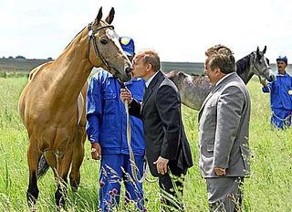 菅官房長官 プーチン大統領訪日で秋田犬贈呈を打診