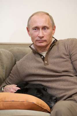 菅官房長官 プーチン大統領訪日で秋田犬贈呈を打診