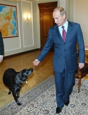 菅官房長官 プーチン大統領訪日で秋田犬贈呈を打診