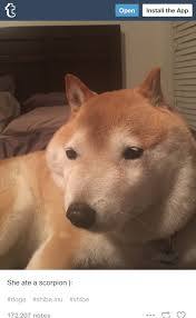 ガルちゃんあるある