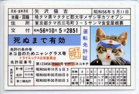 昔、持ってた物の画像を貼るトピ
