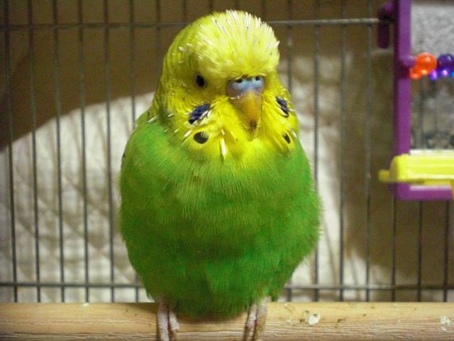 身近で起きた衝撃事件簿