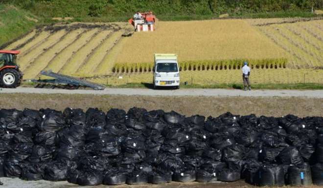 福島産の食品購入で、他の商品の購入などに使えるポイント付与へ