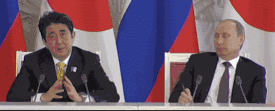 日露首脳会談って結局なんだったんですか?