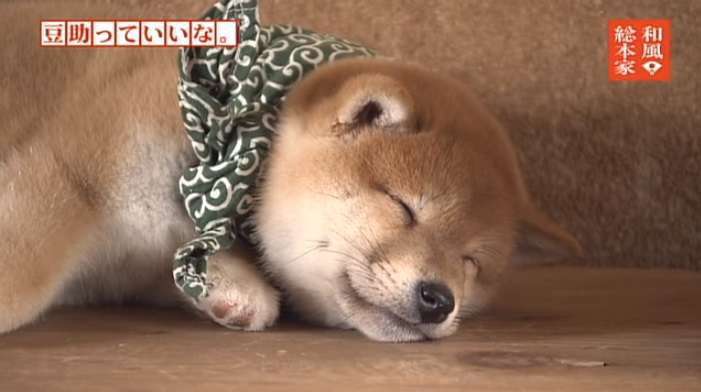 日本アゲにお腹いっぱいな人