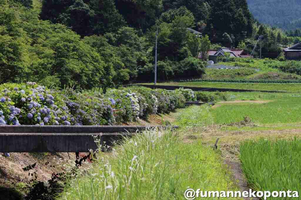 田舎に住んでて良い事、悪かった事