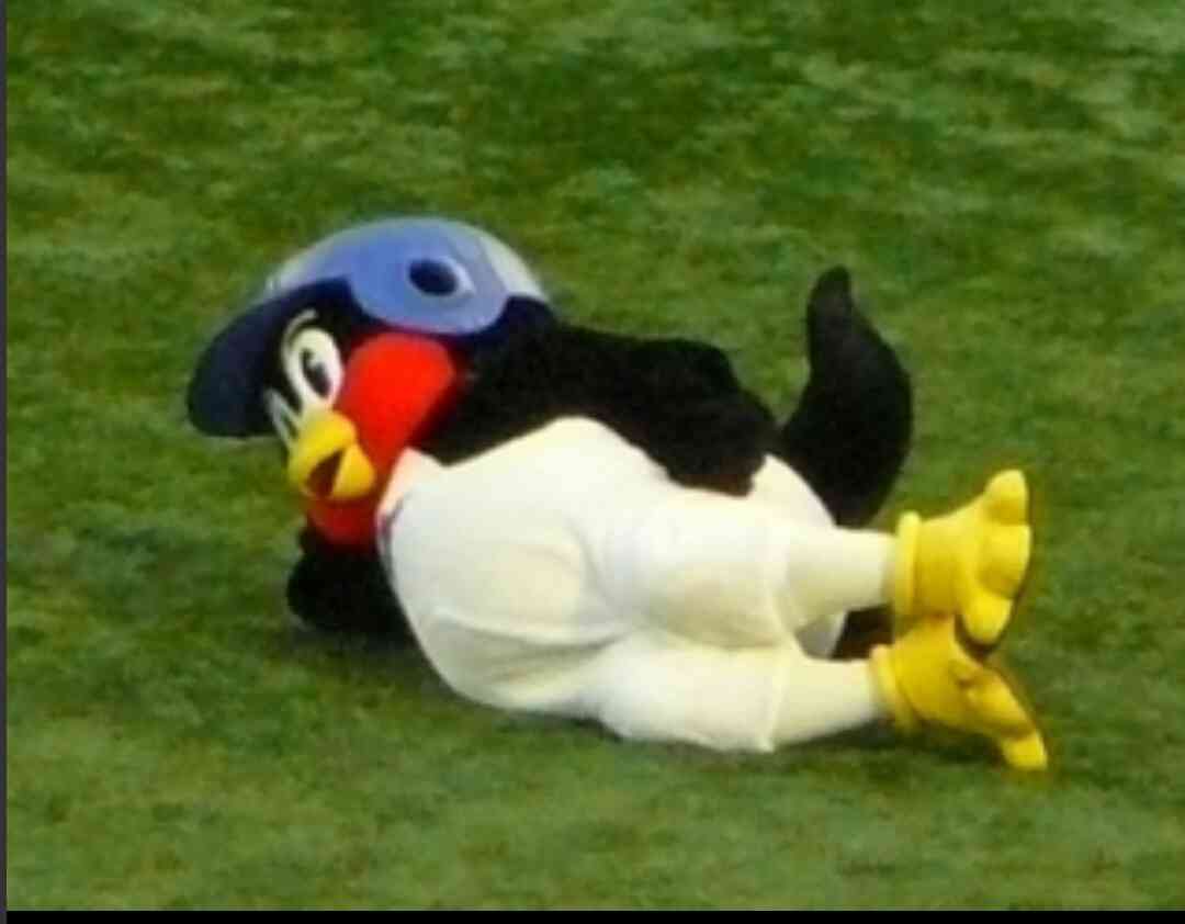 ダレノガレ明美「もし私が巨乳だったら…」