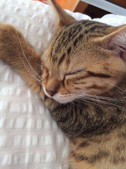 最近可愛い！！と思った有名人