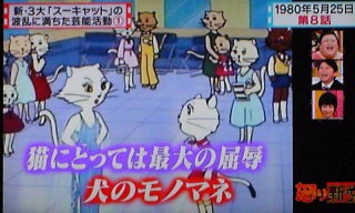 「マツコ&有吉の怒り新党」で、印象に残るテーマは?