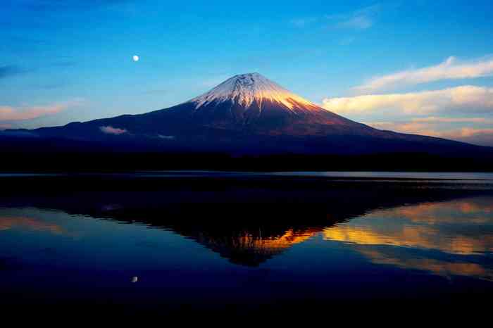 韓国籍の男が稲荷神社でキツネ像壊す…100体近くの被害届とも関連調査へ