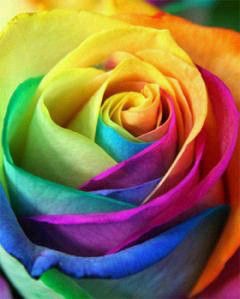 ガルちゃん縁結び寺