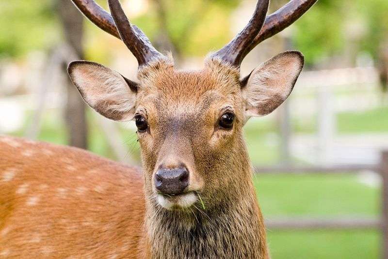 もったいないな〜と思う事