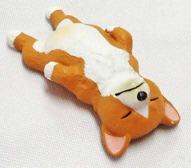「掃除のときにコーギー犬がいると、なぜ最高なのか?」→「こんなことになるから!」