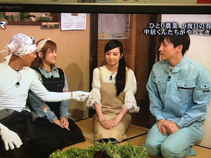 自分の中で好感度が下がった芸能人の名前とそのきっかけ
