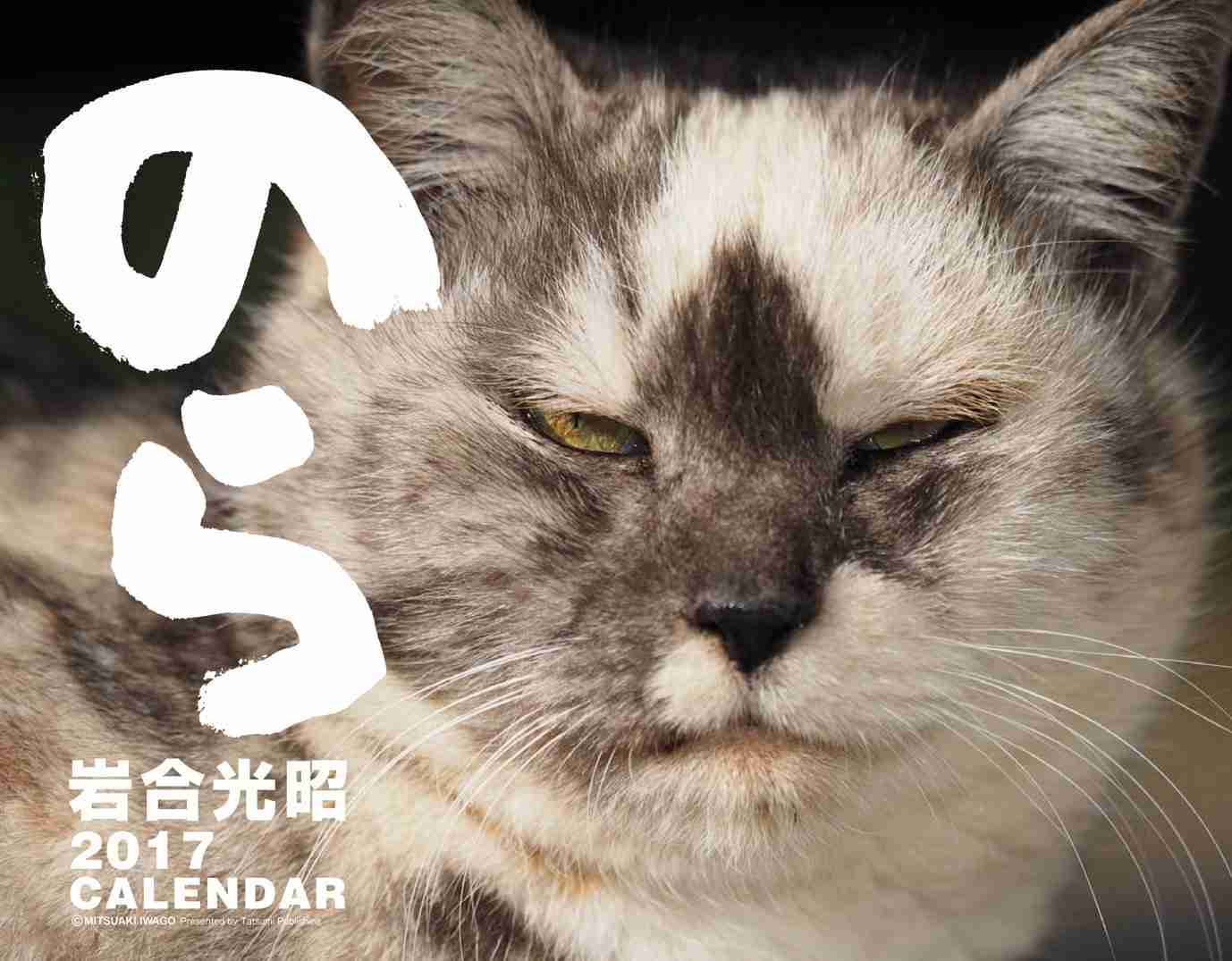来年のカレンダー買いましたか？