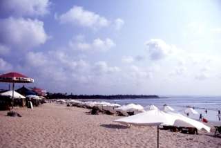 歌詞に合いそうな画像を貼るトピ