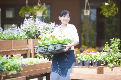 歌詞に合いそうな画像を貼るトピ