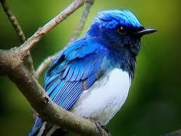 歌詞に合いそうな画像を貼るトピ