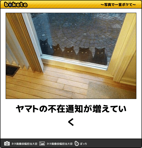 ガルちゃん忘年会2016