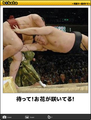 大相撲この一年、あなたにとっての一番の場所、取り組み、出来ごとはなんですか?