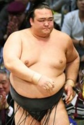 大相撲この一年、あなたにとっての一番の場所、取り組み、出来ごとはなんですか?