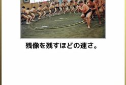 大相撲この一年、あなたにとっての一番の場所、取り組み、出来ごとはなんですか?