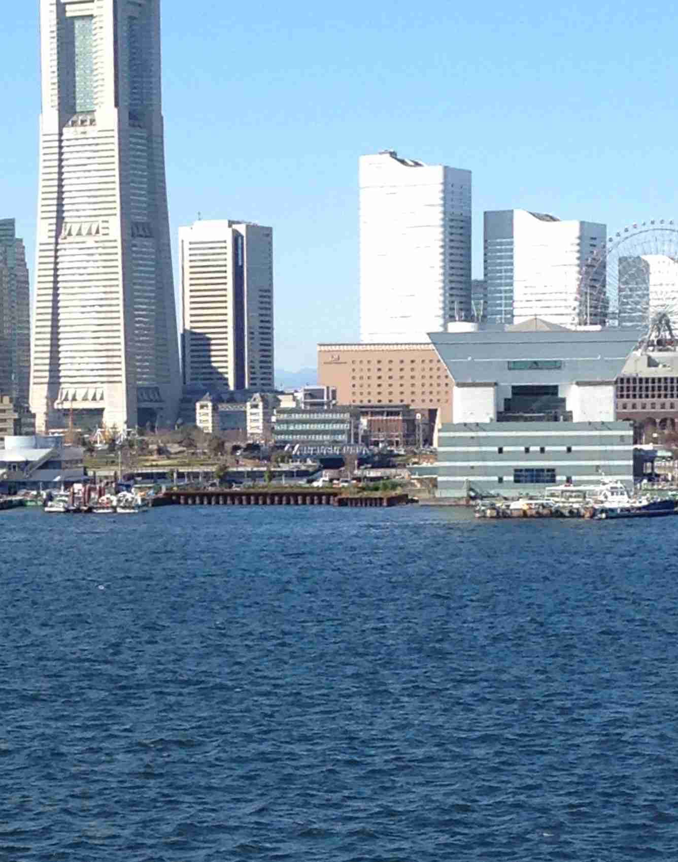 日曜の午後を平和に過ごすトピ