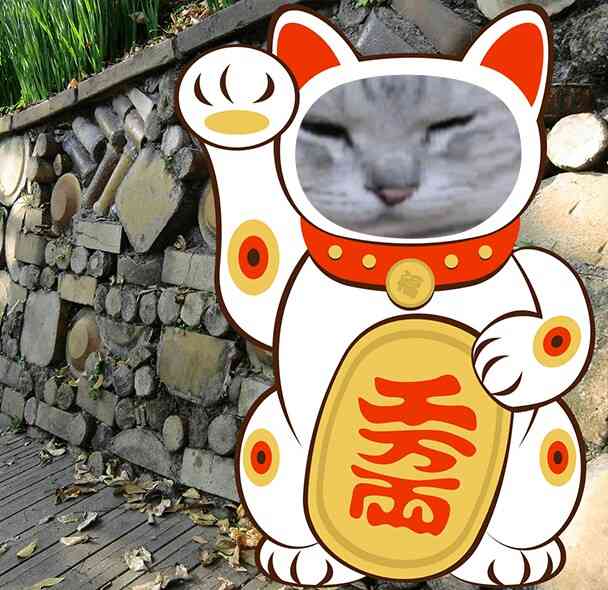 ガルちゃん猫カフェ☆10号店開店しました (はじめての方も大歓迎♪)