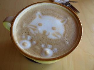 ガルちゃん猫カフェ☆10号店開店しました (はじめての方も大歓迎♪)