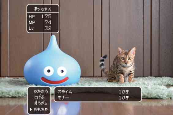ガルちゃん猫カフェ☆10号店開店しました (はじめての方も大歓迎♪)