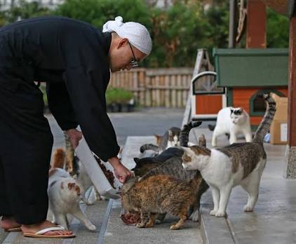 ガルちゃん猫カフェ☆10号店開店しました (はじめての方も大歓迎♪)