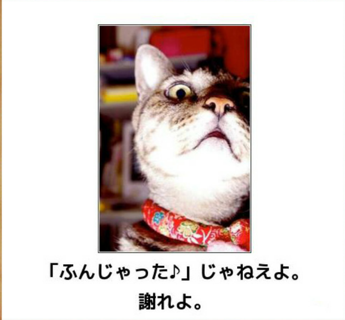 ガルちゃん猫カフェ☆10号店開店しました (はじめての方も大歓迎♪)