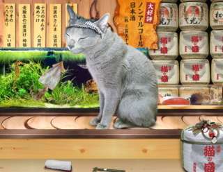 ガルちゃん猫カフェ☆10号店開店しました (はじめての方も大歓迎♪)