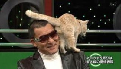 ガルちゃん猫カフェ☆10号店開店しました (はじめての方も大歓迎♪)