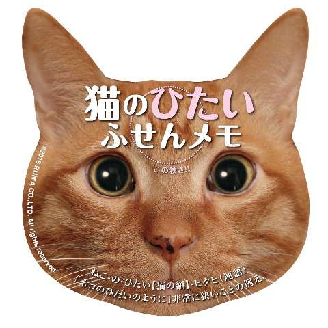 ガルちゃん猫カフェ☆10号店開店しました (はじめての方も大歓迎♪)