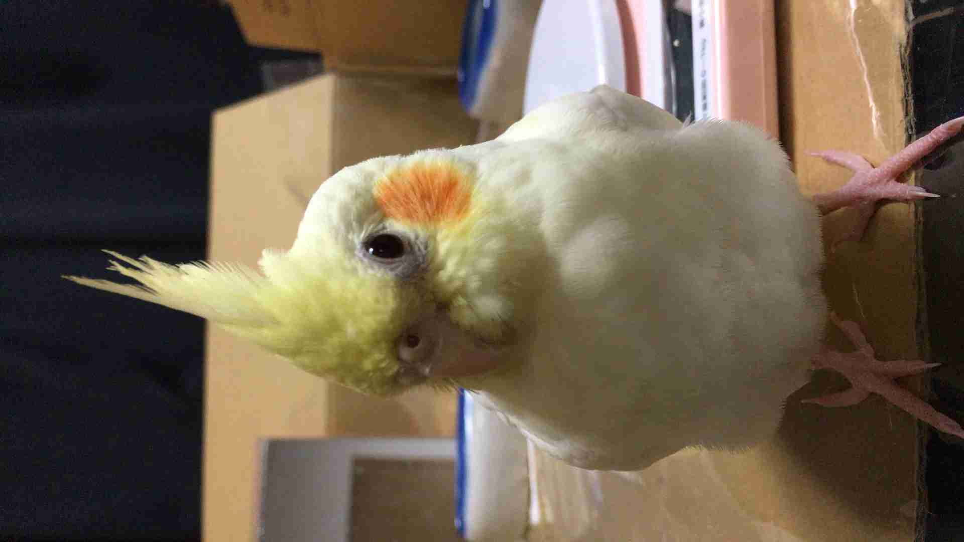 ググっても分からないことを解決するトピ