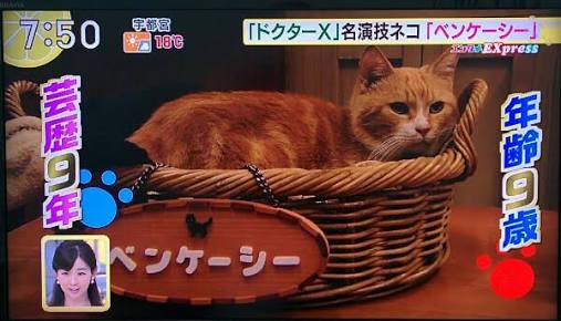 「ドクターX」最終回22.8%！10回目大台超えで有終の美　圧倒今年連ドラ1位
