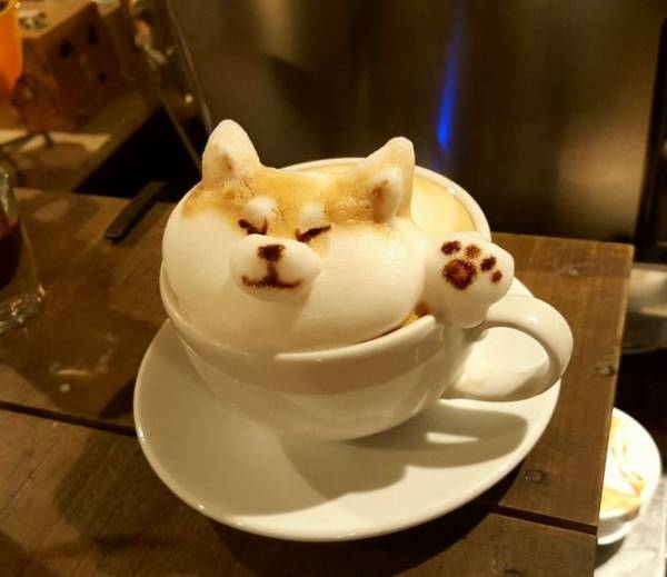 保存したら負け！きゃわい〜動物の画像！