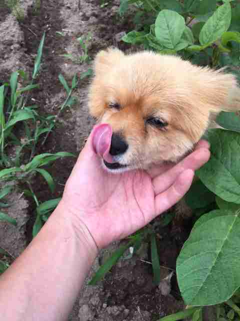 保存したら負け！きゃわい〜動物の画像！