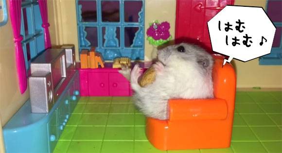 保存したら負け！きゃわい〜動物の画像！